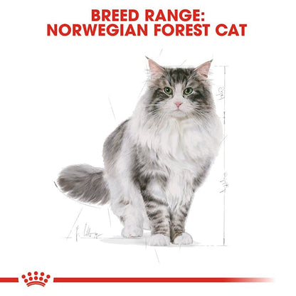 Royal Canin Feline Breed Nutrition Norwegian Forest Cat Adult Dry Food 2kg