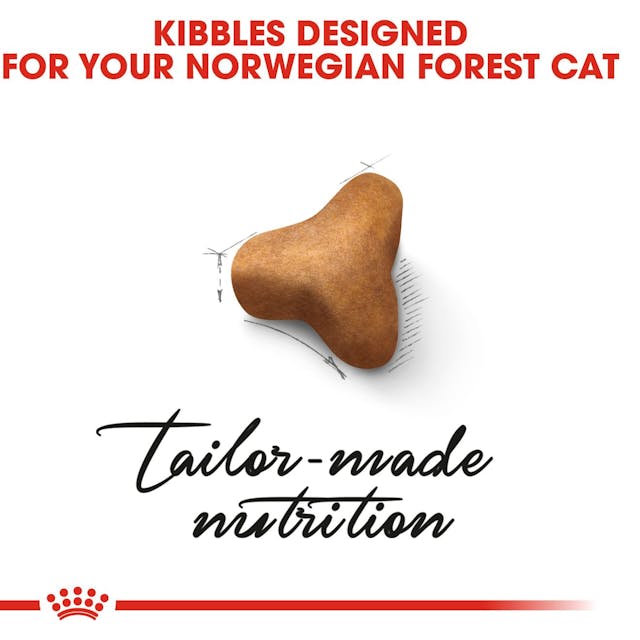 Royal Canin Feline Breed Nutrition Norwegian Forest Cat Adult Dry Food 2kg