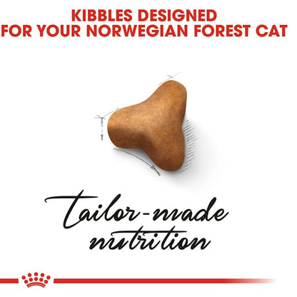 Royal Canin Feline Breed Nutrition Norwegian Forest Cat Adult Dry Food 2kg