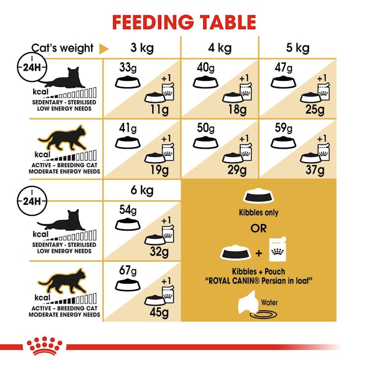 Royal Canin Feline Breed Nutrition Persian Adult Cat Dry Food 10kg