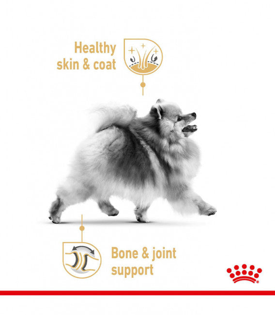 Royal Canin Breed Health Nutrition Pomeranian Adult Dog Wet Food 85g x 12