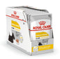 Royal Canin Canine Care Nutrition Dermacomfort All Sizes Dog Wet Food 85g x 12