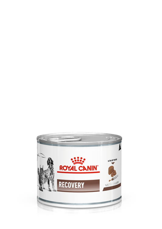 Royal Canin Veterinary Diet Recovery Adult Wet Food for Canine and Feline 195g