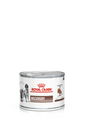 Royal Canin Veterinary Diet Recovery Adult Wet Food for Canine and Feline 195g